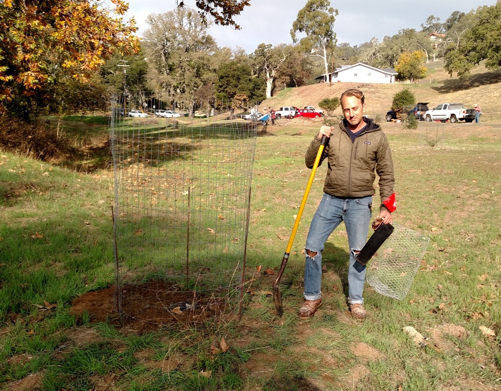 Peter finished planting a Valley Oak.